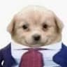 Ron-rexpa Loper