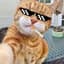 Billu Badmosh