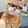 Billu Badmosh
