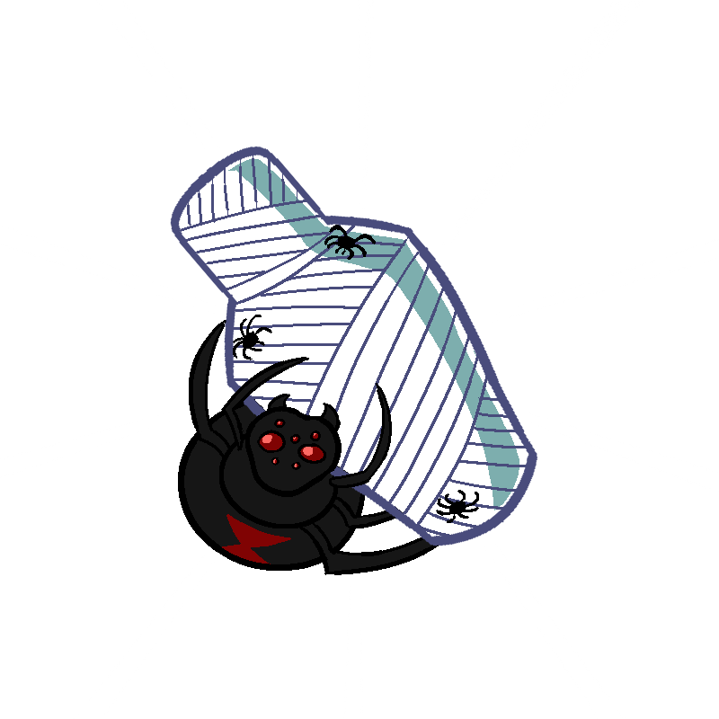 spider perm